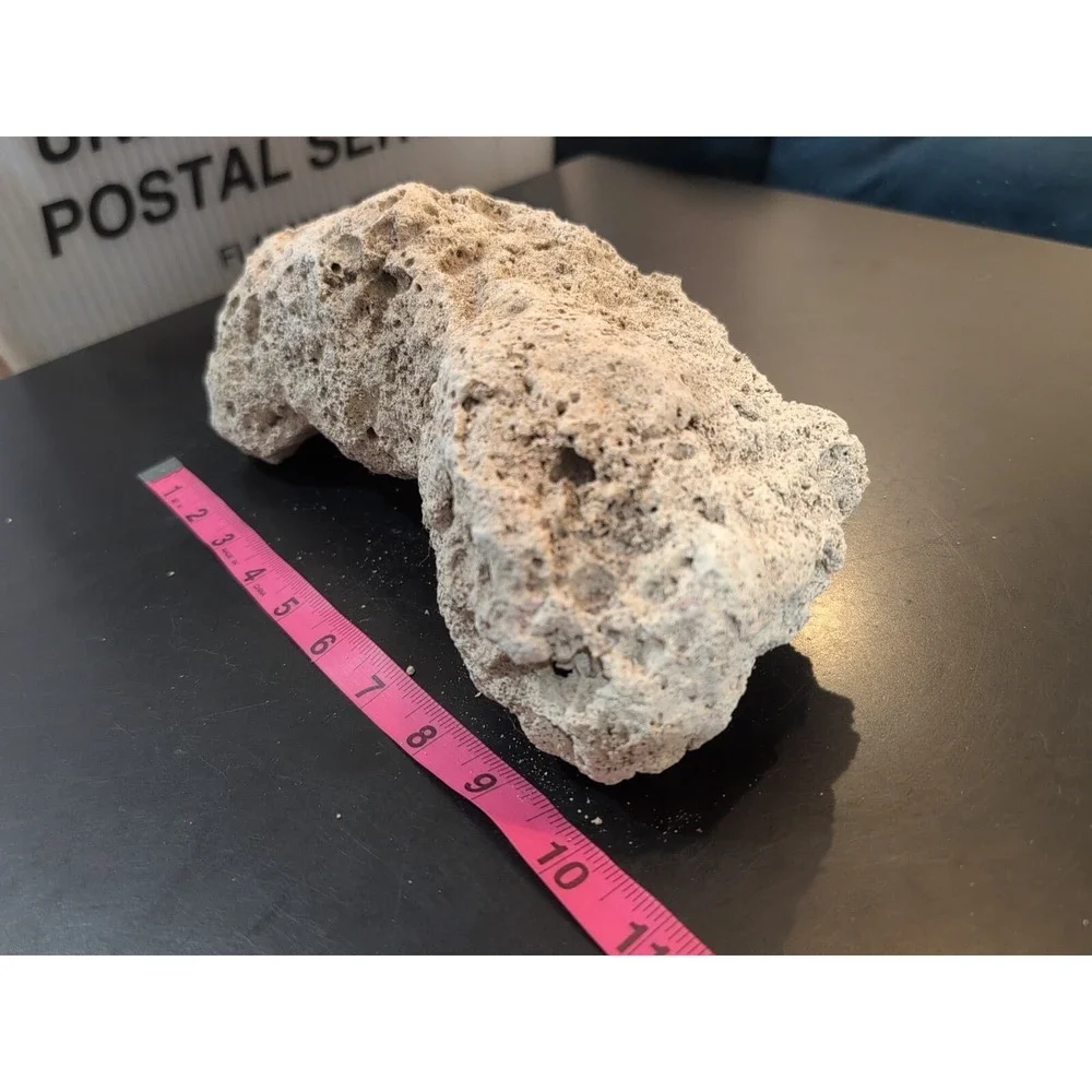 Coral Reef Cluster Specimen - 10
